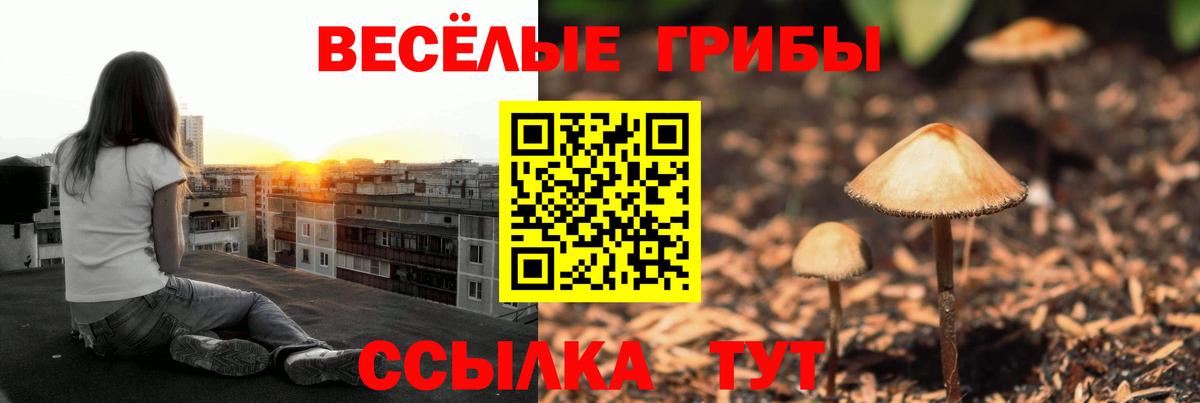 купить   Галлюциногенные грибы MAGIC MUSHROOMS  Вход с VPN  Ивантеевка  Галлюциногенные грибы мухоморы 